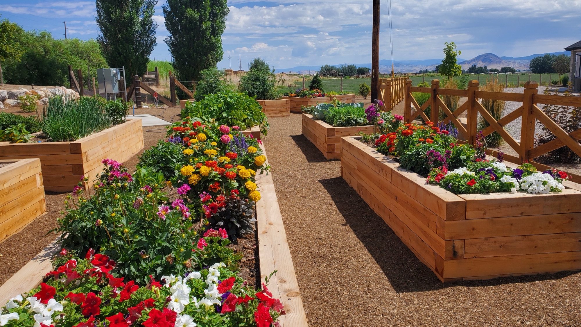 Organic lawn installation Richfield