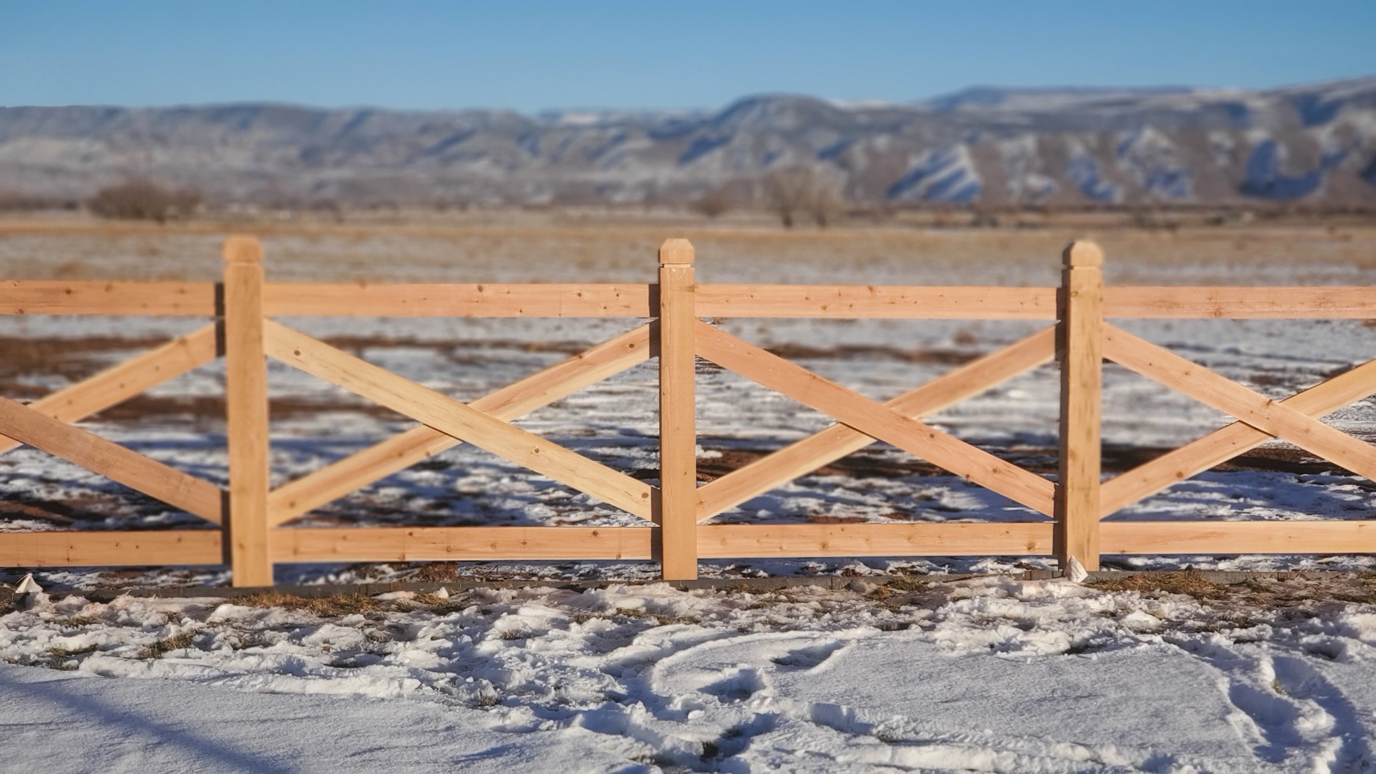 Lush green lawn with professional sprinkler system